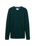 TOM TAILOR Rundhalspullover (1-tlg) 