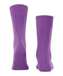 FALKE Socken Lhasa Rib 