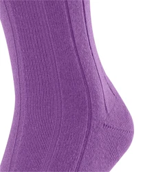 FALKE Socken Lhasa Rib 