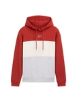 TOM TAILOR Denim Sweatshirt Hoodie mit Print Colorblock