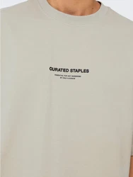 Only & Sons Rundhalsshirt ONSCURATED 