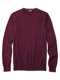 Rundhalspullover Strick Casual