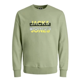 Sweatshirt JCORAY Color Sweat Crew Neck FST mit Markenschriftzug