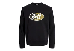 Jack & Jones Sweatshirt JCORAY mit Markenschriftzug Farbe