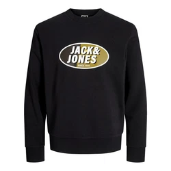Jack & Jones Sweatshirt JCORAY mit Markenschriftzug Farbe
