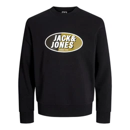 Sweatshirt JCORAY Color Sweat Crew Neck FST mit Markenschriftzug
