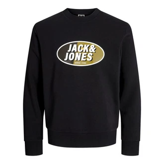 Jack & Jones Sweatshirt JCORAY mit Markenschriftzug Farbe
