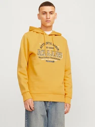 Jack & Jones Kapuzensweatshirt JJELOGO SWEAT HOOD 2 marine/safran/weiß