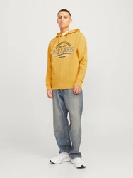 Jack & Jones Kapuzensweatshirt JJELOGO SWEAT HOOD 2 marine/safran/weiß