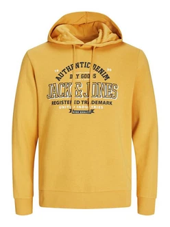 Jack & Jones Kapuzensweatshirt JJELOGO SWEAT HOOD 2