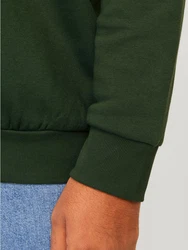 Jack & Jones PlusSize Hoodie Sweat Hood JJELOGO Dunkelgrün/Grün