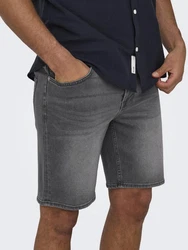 ONLY & SONS Shorts WEFT grau