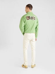 SELECTED HOMME Regular-fit-Jeans LEON Khaki/Beige