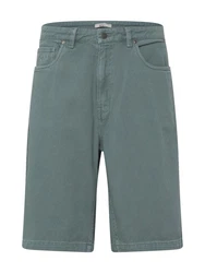 Iriedaily Shorts Nanolo pastellgrn