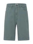 Iriedaily Shorts Nanolo pastellgrn
