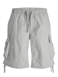 Cargoshorts Zayn (1-tlg)