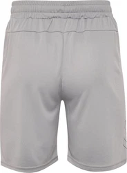 hummel Shorts Hmlte Flex Mesh Shorts 
