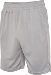 hummel Shorts Hmlte Flex Mesh Shorts 