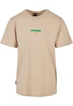 Cayler & Sons T-Shirt C&S Changes Tee (1-tlg) Khaki/Beige