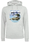 F4NT4STIC Kapuzenpullover YES Chrome Island Grau/Hellgrau/Silber