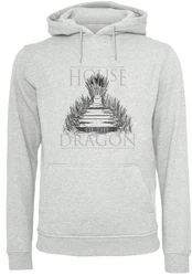 F4NT4STIC Kapuzenpullover House Of The Dragon Throne Grau/Hellgrau/Hellgrün