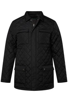 Boston Park Steppjacke Hemdkragen Schwarz/Dunkelgrün
