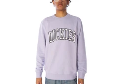 Dickies Sweatshirt Aitkin 