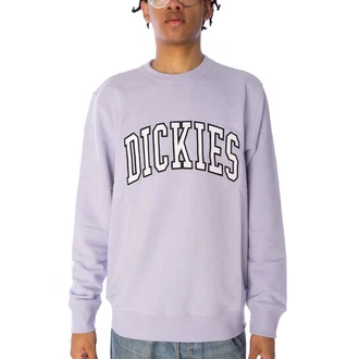 Dickies Sweatshirt Aitkin 