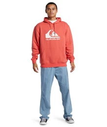 Kapuzensweatshirt BIG LOGO HOODIE
