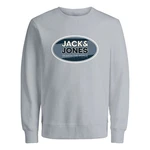 Jack & Jones Sweatshirt JCORAY mit Markenschriftzug Blau/Grau/Hellblau