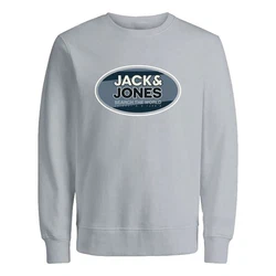 Jack & Jones Sweatshirt JCORAY mit Markenschriftzug Blau/Grau/Hellblau