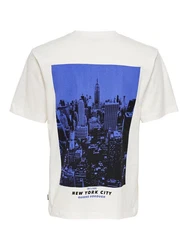 ONLY & SONS T-Shirt Fred (1-tlg) 