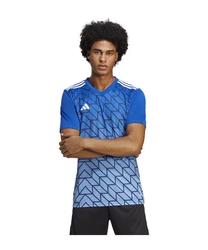 adidas Performance T-Shirt Team Icon 23 Trikot Hellblau/Pastell/Blau/Grau