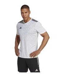 adidas Performance T-Shirt Team Icon 23 Trikot Grau/Weiß/Silber/Creme