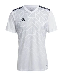 adidas Performance T-Shirt Team Icon 23 Trikot Grau/Weiß/Silber/Creme