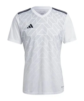 adidas Performance T-Shirt Team Icon 23 Trikot Grau/Weiß/Silber/Creme