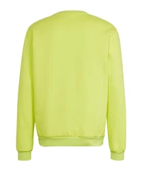 adidas Performance Sweatshirt Entrada 22 