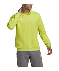 adidas Performance Sweatshirt Entrada 22 
