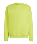 adidas Performance Sweatshirt Entrada 22 