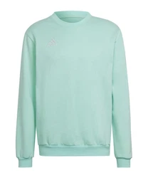 adidas Performance Sweatshirt Entrada 22 