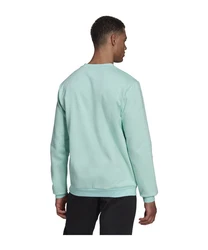 adidas Performance Sweatshirt Entrada 22 