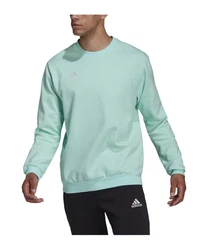 adidas Performance Sweatshirt Entrada 22 
