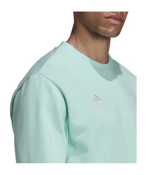 adidas Performance Sweatshirt Entrada 22 