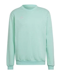 adidas Performance Sweatshirt Entrada 22 
