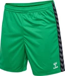 Hummel Sportshorts 'Authentic' 