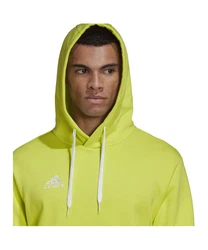 adidas Performance Sweatshirt Entrada 22 Hoody 
