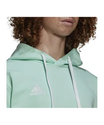 adidas Performance Sweatshirt Entrada 22 Hoody 