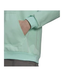 adidas Performance Sweatshirt Entrada 22 Hoody 