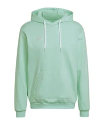 adidas Performance Sweatshirt Entrada 22 Hoody 