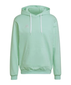 adidas Performance Sweatshirt Entrada 22 Hoody adidas Performance Sweatshirt Entrada 22 Hoody